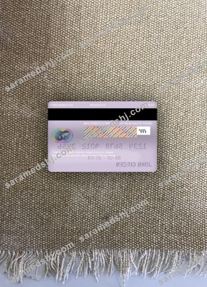 USA Ally bank mastercard photolook back